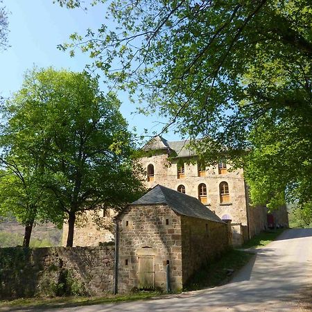 Chateau De Salelles Banassac Exteriör bild