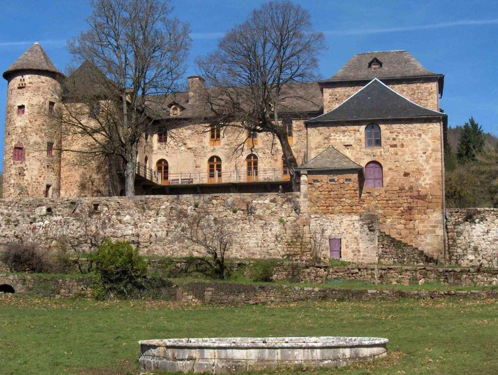 Chateau De Salelles Banassac Exteriör bild