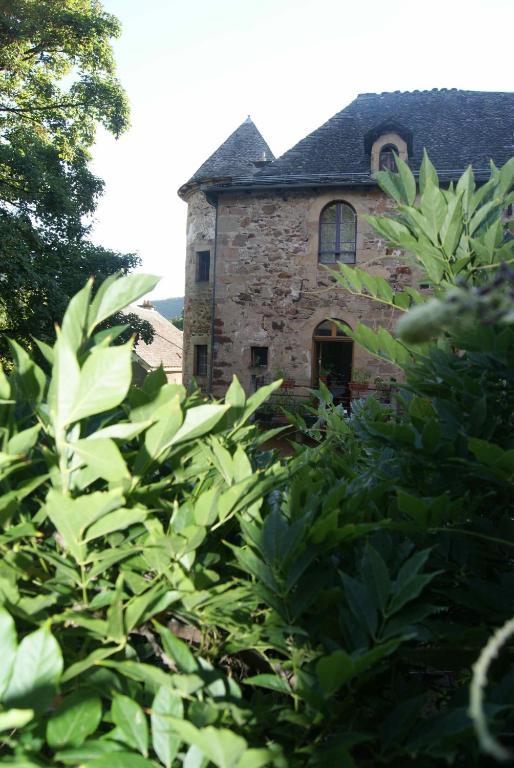 Chateau De Salelles Banassac Exteriör bild