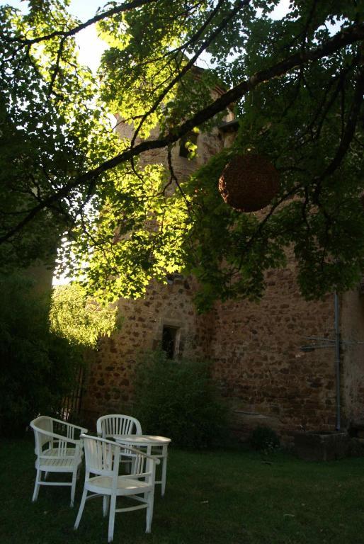 Chateau De Salelles Banassac Exteriör bild