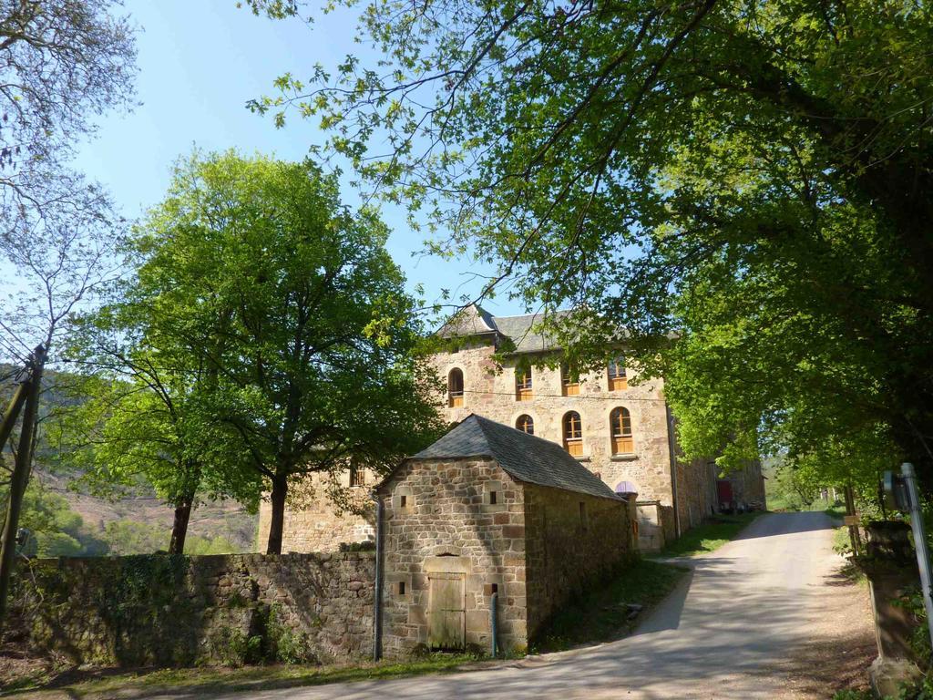 Chateau De Salelles Banassac Exteriör bild