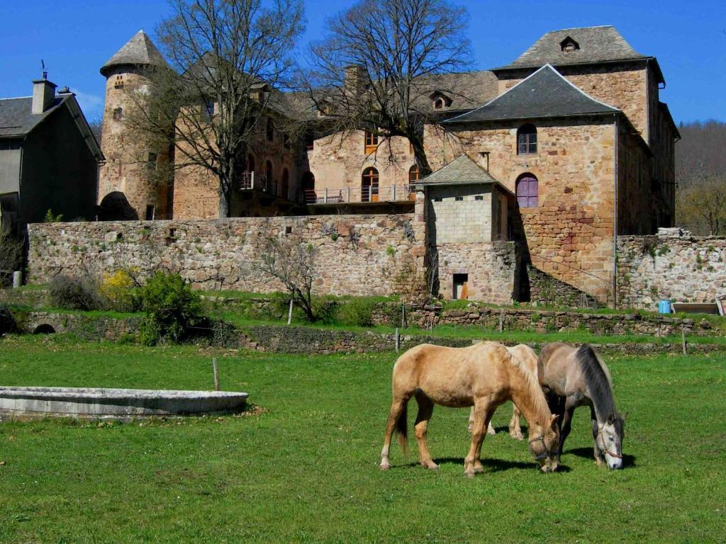 Chateau De Salelles Banassac Exteriör bild